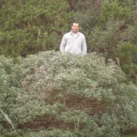 Fotos de Nuno Oliveira