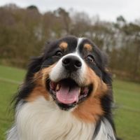 Jan Duplinszki的照片