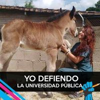 Cony Sanchez C's Photo