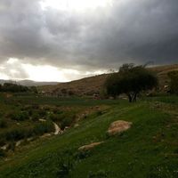 فادي الصوالحة's Photo
