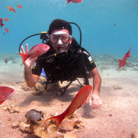 Telman Punhan Mammadov's Photo