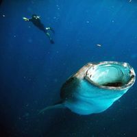 Fotos de Santiago Deville