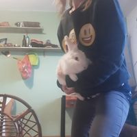 Christina Ronnebeck's Photo