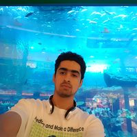 Ardavan Afshar的照片