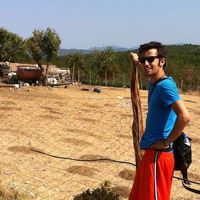 Devin Sommer的照片