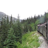 Karen Bosworth's Photo