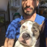 Фотографии пользователя Daniel Reifschneider