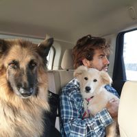 Fotos von Alon Kessel