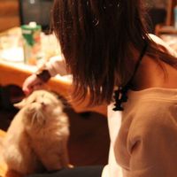 Alena Kulakova's Photo