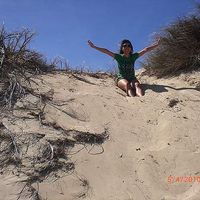 Jialing Lee的照片