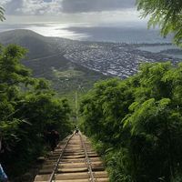 Saleh  (Sal)的照片