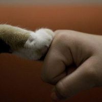 Dor Dor Doris Chan's Photo