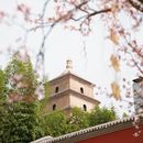 CS Xi'an meetup的照片