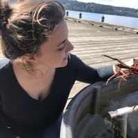 Olivia Cameron的照片