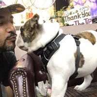 cedric declercq的照片