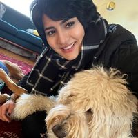 Yasamin Habibi's Photo