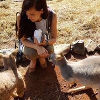 Photos de Kerstin Haslhofer