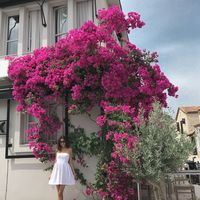 Ekaterina Pavlova's Photo