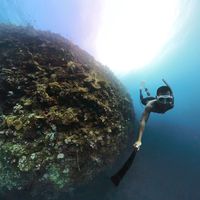 Le foto di Godfrey Manriquez