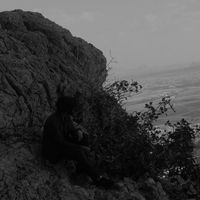 Mahdi Nasiri's Photo