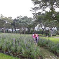 Tiên Huỳnh's Photo