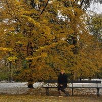 Işıl Aras的照片