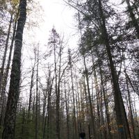 Artem Tarasov's Photo