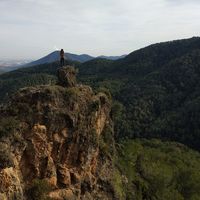 Rosana Saez的照片