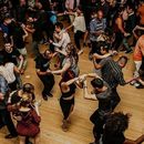 SALSA PARTY - IGUANA 's picture