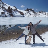 Masoud Banafsheh的照片