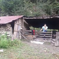 Mohsen Rezaei的照片