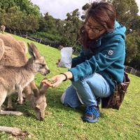 Thanh Huyen Phan的照片