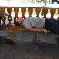 Fotos de David Klayton