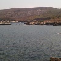 Ales Sandro的照片