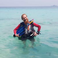 Nicholas Vandyke的照片