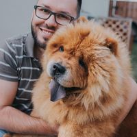 Ovidiu Nistor's Photo