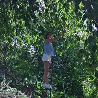 Fotos von Parandzem P_ian