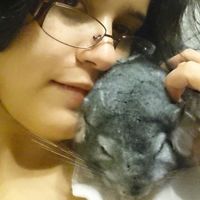 Thaís Scherrer的照片