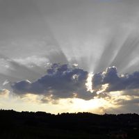 Photos de Francesco D