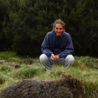 Tomaz Cezimbra's Photo