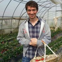 Fotos von Jimmy MacDonald