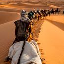 Trip Sahara Desert's picture