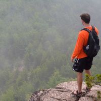 Henry Leachman的照片