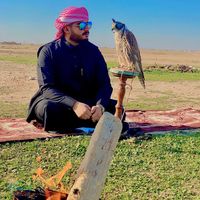 Talal Salih的照片