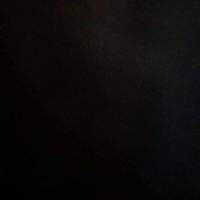 Brad Tonkin的照片