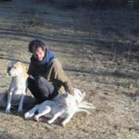 Le foto di Jonathan Camor