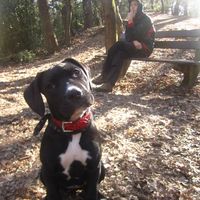 Jonathan Vasen's Photo