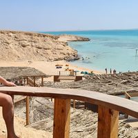 Ehab Ellebey的照片