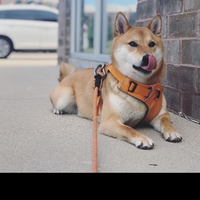 Фотографии пользователя Chao Yu-Hsuan