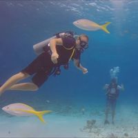 Robin Iwanski's Photo